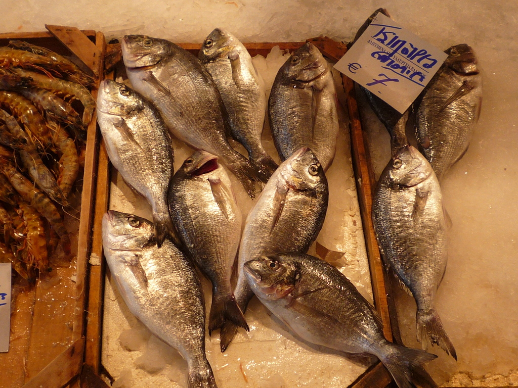 Fische und Garnelen auf Holzplatten mit einem Papier auf der rechten Seite, alles auf Eis.