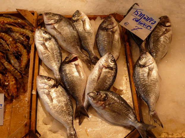 Fische und Garnelen auf Holzplatten mit einem Papier auf der rechten Seite, alles auf Eis.