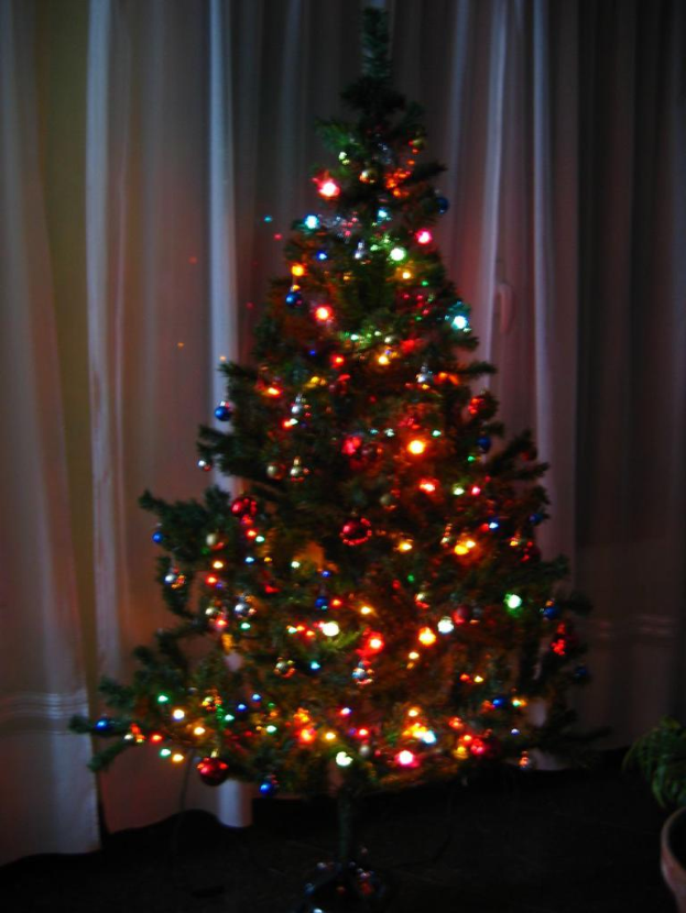 Ein Weihnachtsbaum mit Lichterschmuck steht vor einem Vorhang und einem Topfpalme.