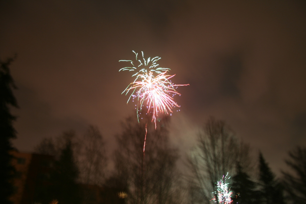 Umgestürzte Bäume vor Feuerwerk und Wolken im Hintergrund.