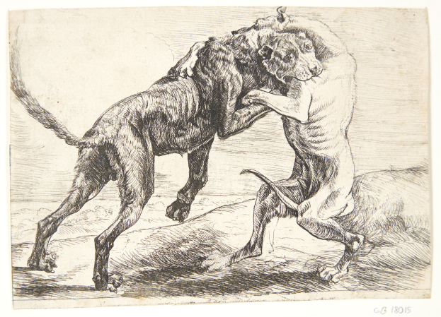 Eine Schwarz-Weiß-Zeichnung von zwei kämpfenden Hunden, mit Text unten.