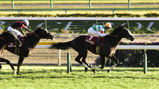 Zwei Jockeys in Helmen auf Pferden, die eine Rennbahn entlanggaloppieren, umgeben von Grünflächen mit einer Begrenzung und einer Tafel im Hintergrund.
