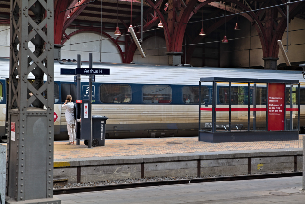 Ein Zug fährt auf einem Bahnsteig ein, wo eine Person in der Nähe steht, mit einem Müllcontainer, Pfosten, Informationsplakaten und Deckenleuchten.