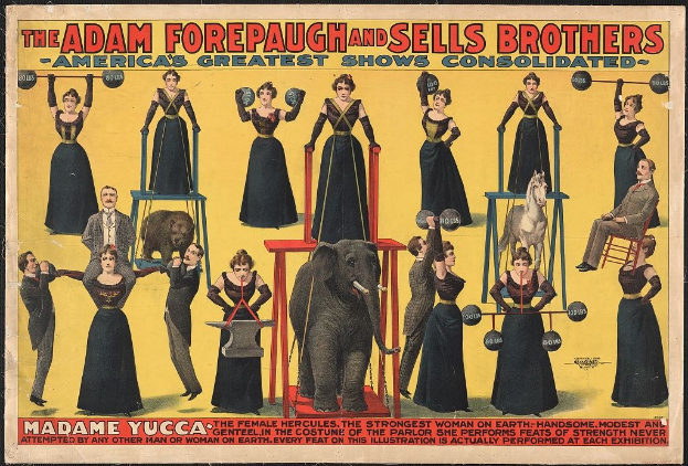 Plakat für Adam Forepaugh und Sells Brothers' America's Greatest Shows Consolidated mit Performern auf Hockern, einem Elefanten und Werbetext.