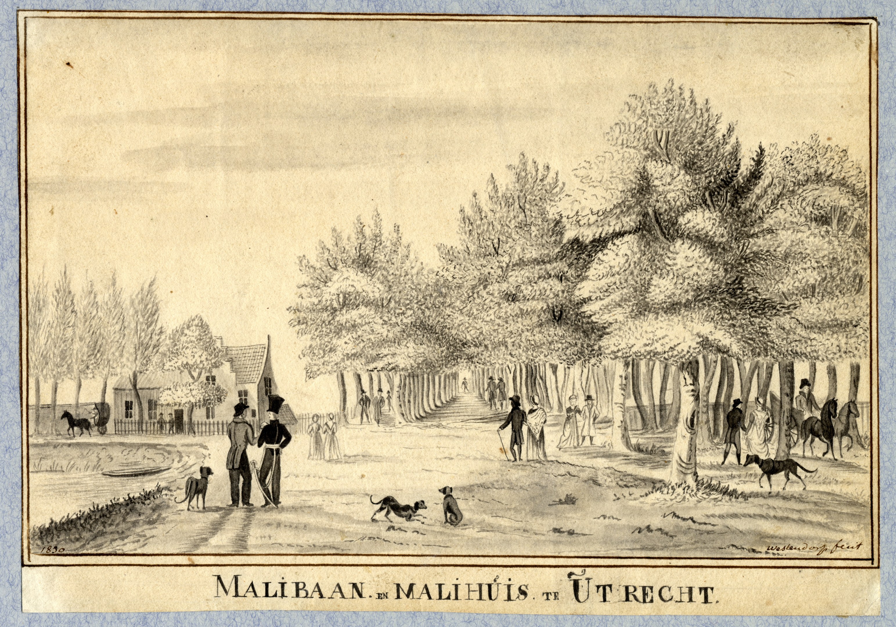 Eine Zeichnung eines Parks mit Menschen, die Hunde ausführen, Bäumen, Häusern und Text am unteren Rand.