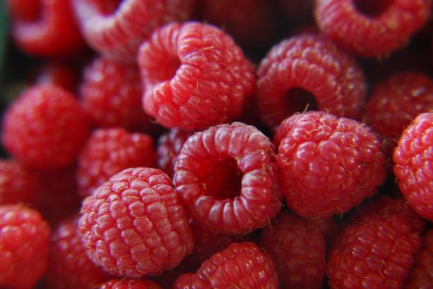 Nahaufnahme mehrerer reifer Erdbeeren.