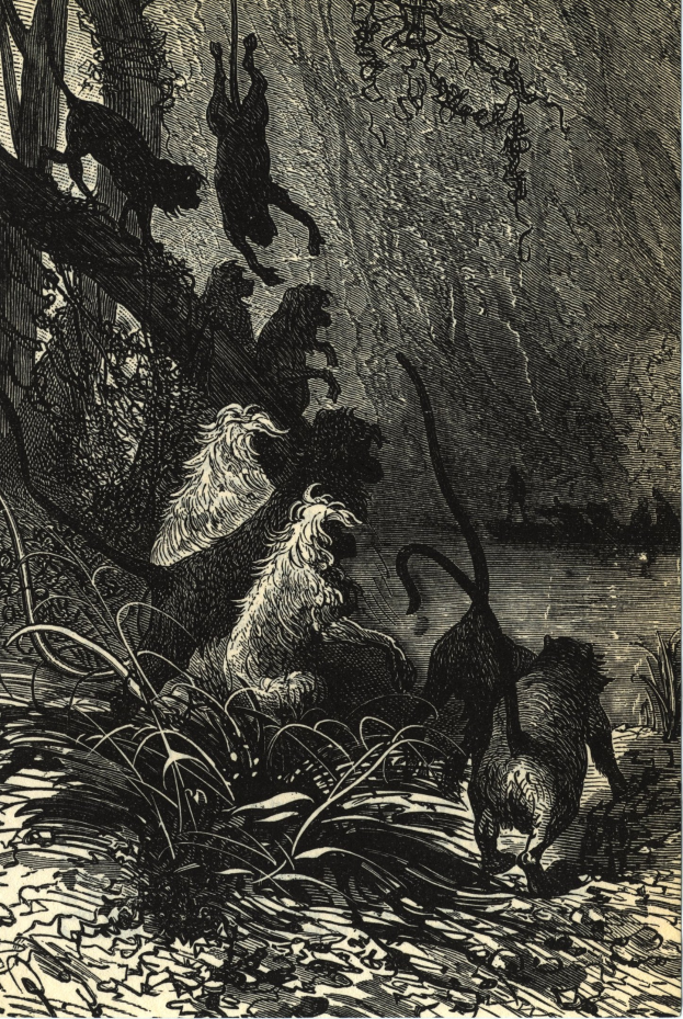 Schwarze und weiße Illustration einer Gruppe von Löwen in einer Dschungelumgebung mit üppiger Vegetation und Bäumen, die den Text 'Der Löwenkönig' unten zeigt.