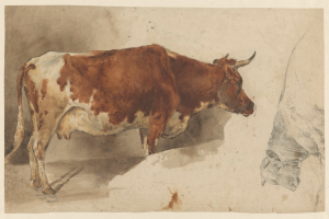 Eine braune und weiße Kuh steht aufrecht mit erhobenem Kopf und aufgestellten Ohren neben einer anderen Kuh auf einem Blatt Papier, beide Kühe zeigen in verschiedene Richtungen.