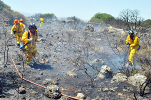 Eine Gruppe von Feuerwehrleuten in gelben Uniformen und Helmen geht durch eine verbrannte Fläche mit Bäumen, Felsen und einem Rohr im Vordergrund und einem klaren Himmel im Hintergrund.