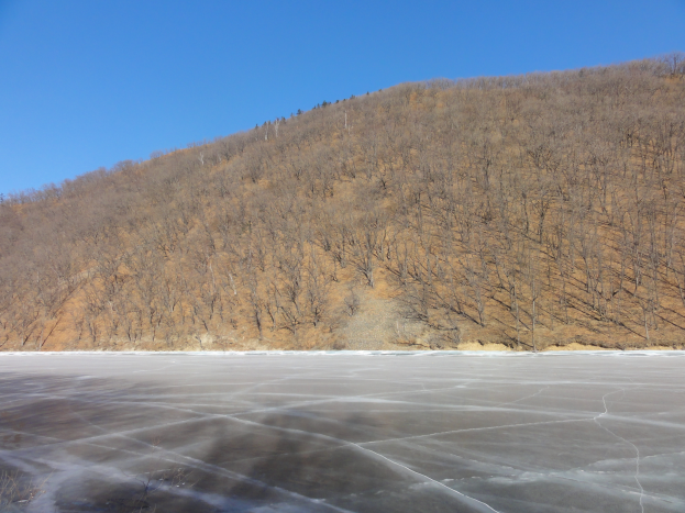 Ein zugefrorener See mit glitzerndem Eis, umgeben von Bäumen, unter einem klaren Himmel mit einem Berg im Hintergrund.