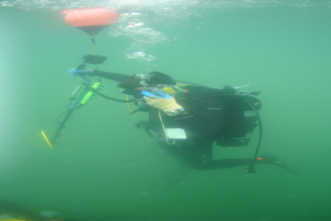 Ein Tauchender in einem schwarzen Neoprenanzug mit einem Sauerstofftank auf dem Rücken hält ein Objekt unter Wasser.