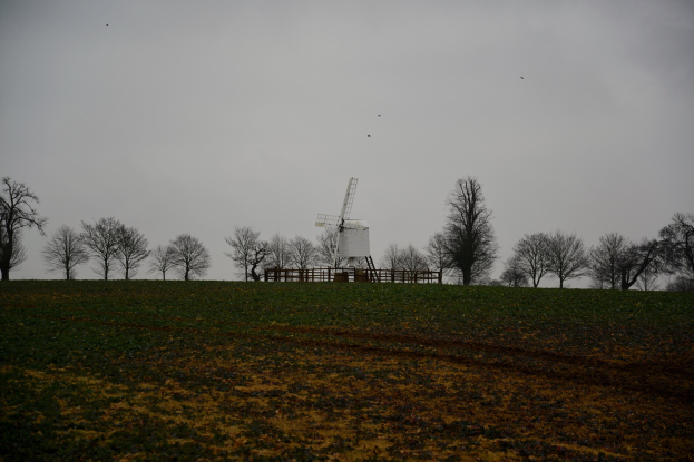 Windmühle in einem eingezäunten Feld mit Bäumen, bewölktem Himmel und fliegenden Vögeln.