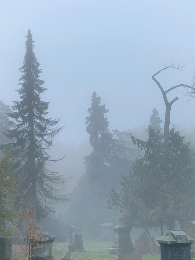 Ein nebliger Friedhof mit ein paar Grabsteinen und Bäumen im Hintergrund, unter einem trüben grauen Himmel.
