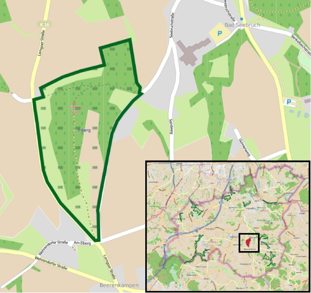 Ein detaillierter Stadtplan, der einen zentralen grünen Bereich markiert, der für die geplante Entwicklung vorgesehen ist, mit sichtbaren Straßen, Gebäuden und Sehenswürdigkeiten.