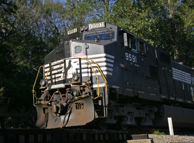 Eine Lokomotive mit Nummernschildern fährt auf einem Gleis entlang, im Hintergrund sind Bäume mit Zweigen und Blättern zu sehen.