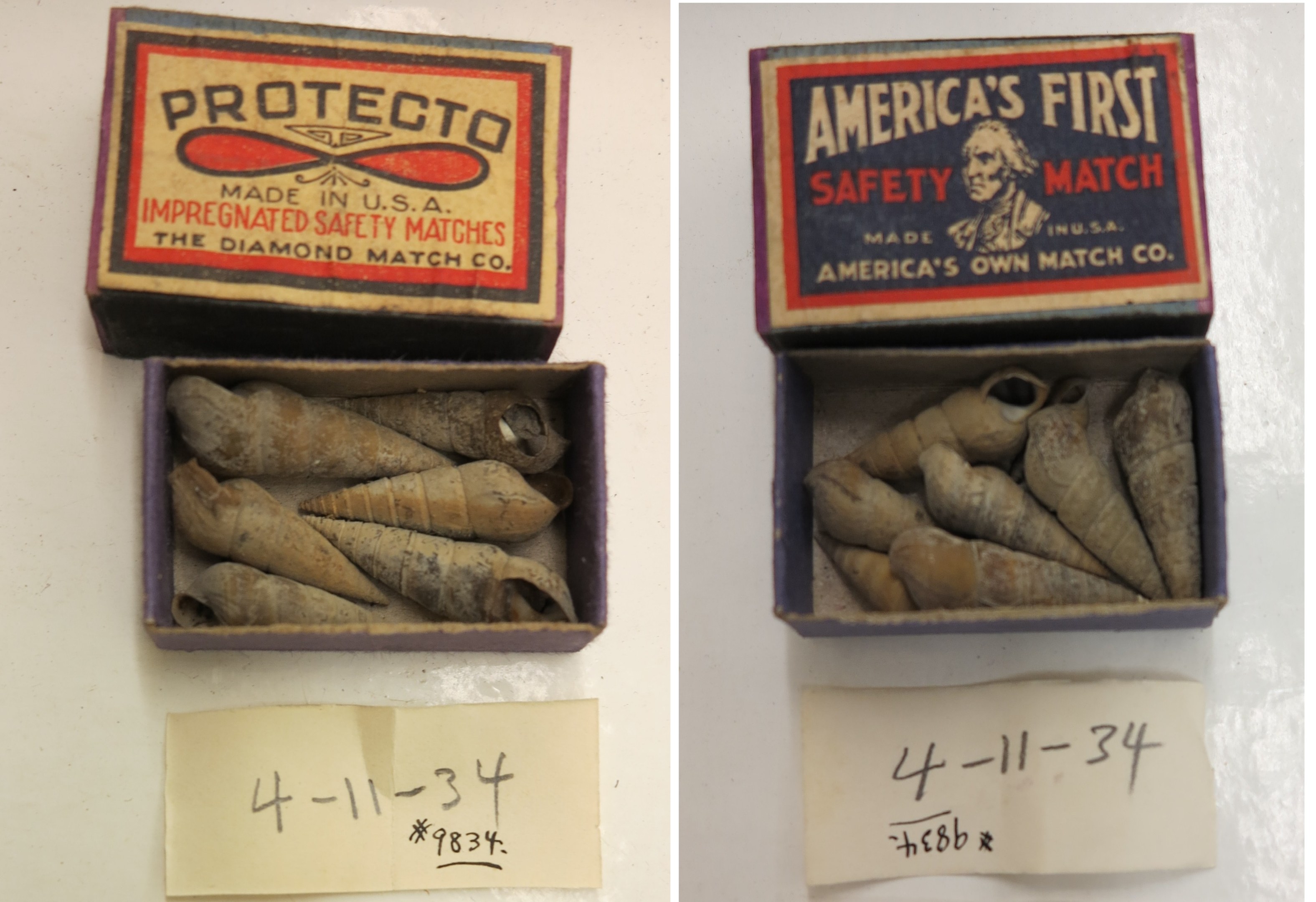Zwei Schachteln mit der Aufschrift 'Protecto' und 'Amerikas erste Sicherheitszündholz' auf einem Tisch mit verschiedenen Gegenständen darin und zwei nummerierten Papieren unten.
