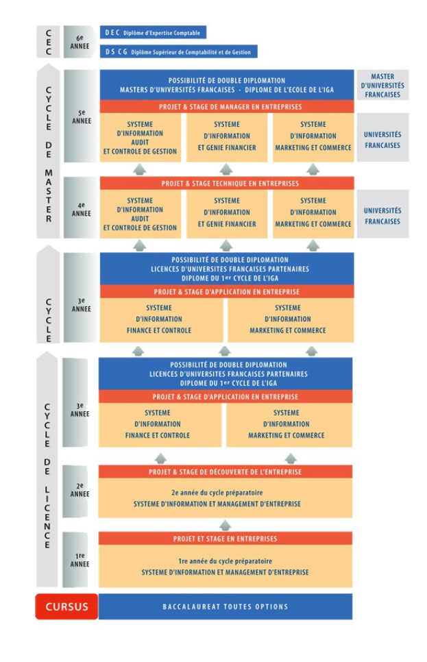 Diagramm, das die organisatorische Struktur eines Unternehmens mit interconnected boxes darstellt, die die Stufen des Geschäfts growth and development darstellen, begleitet von Text, der die Rollen und Verantwortlichkeiten beschreibt.