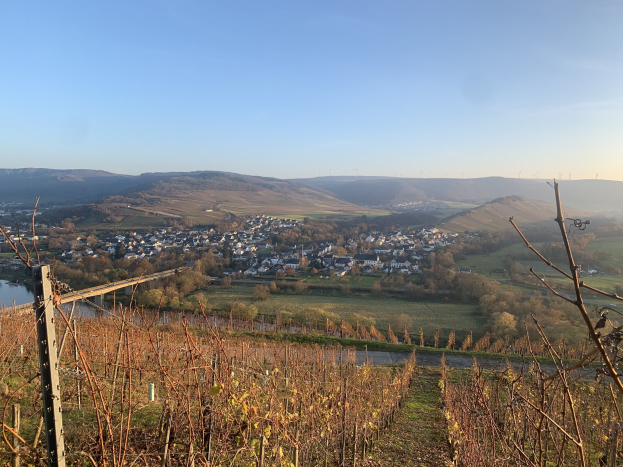 Idyllische Aussicht auf das Rheintal von einem Hügel aus, mit grünen Pflanzen, Bäumen, Häusern, einer Brücke und sanften Hügeln unter einem blauen Himmel.