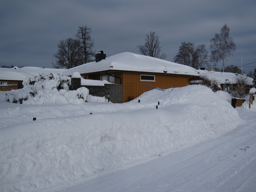 Schneebedeckter Boden mit Gebäuden und Häusern im Hintergrund, umgeben von Bäumen, unter einem bewölkten Himmel.
