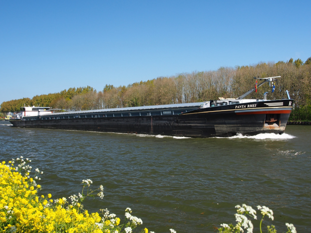 Ein großes Boot fährt einen Fluss mit grünen Bäumen an den Ufern und einem hellblauen Himmel hinunter, mit leuchtend gelben Blumen am unteren Rand des Bildes.