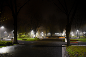 Ein Park bei Nacht mit beleuchteten Straßen, Bänken, Gras, Pflanzen und Bäumen unter einem sichtbaren Himmel mit einem Wasserzeichen auf dem Bild.